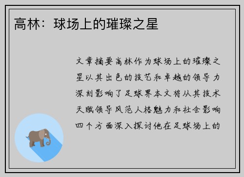 高林：球场上的璀璨之星