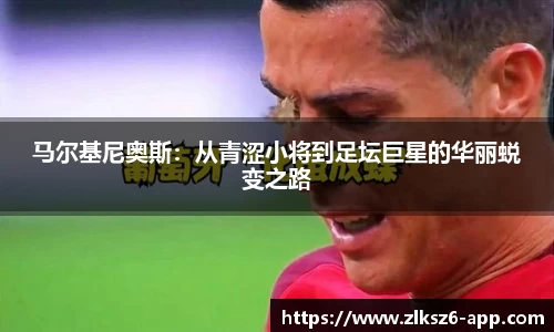 z6尊龙凯时官网